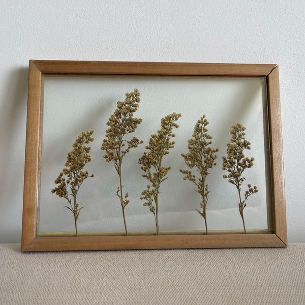 Pressed Plant Frame