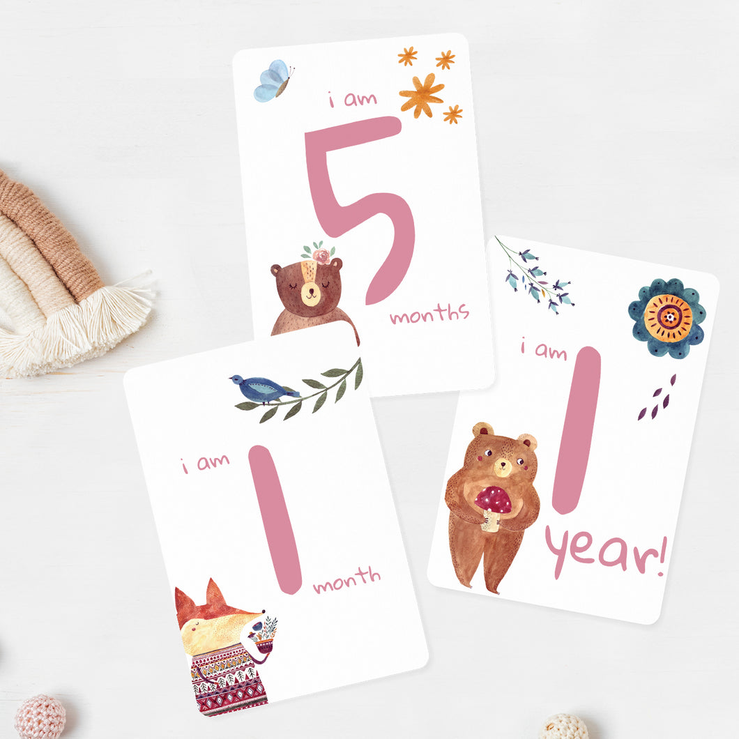 Baby Milestone Cards - Baby Girl