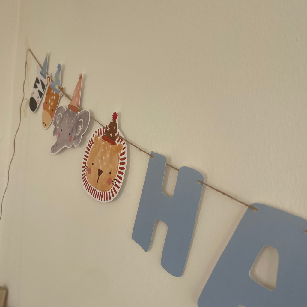 Party Animal Garland (Pink/Blue)