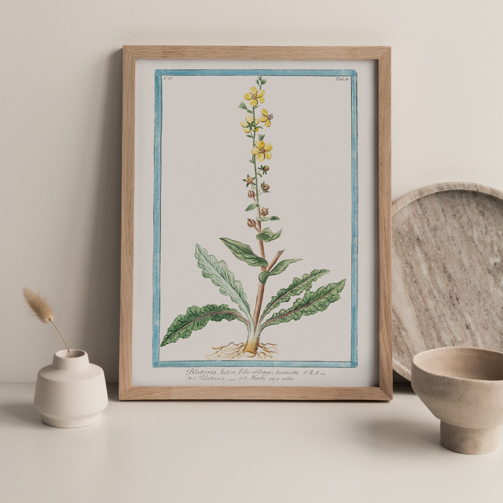 Vintage Botanicals Set 02