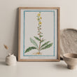 Vintage Botanicals Set 02