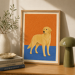 Color Block Dog Portraits