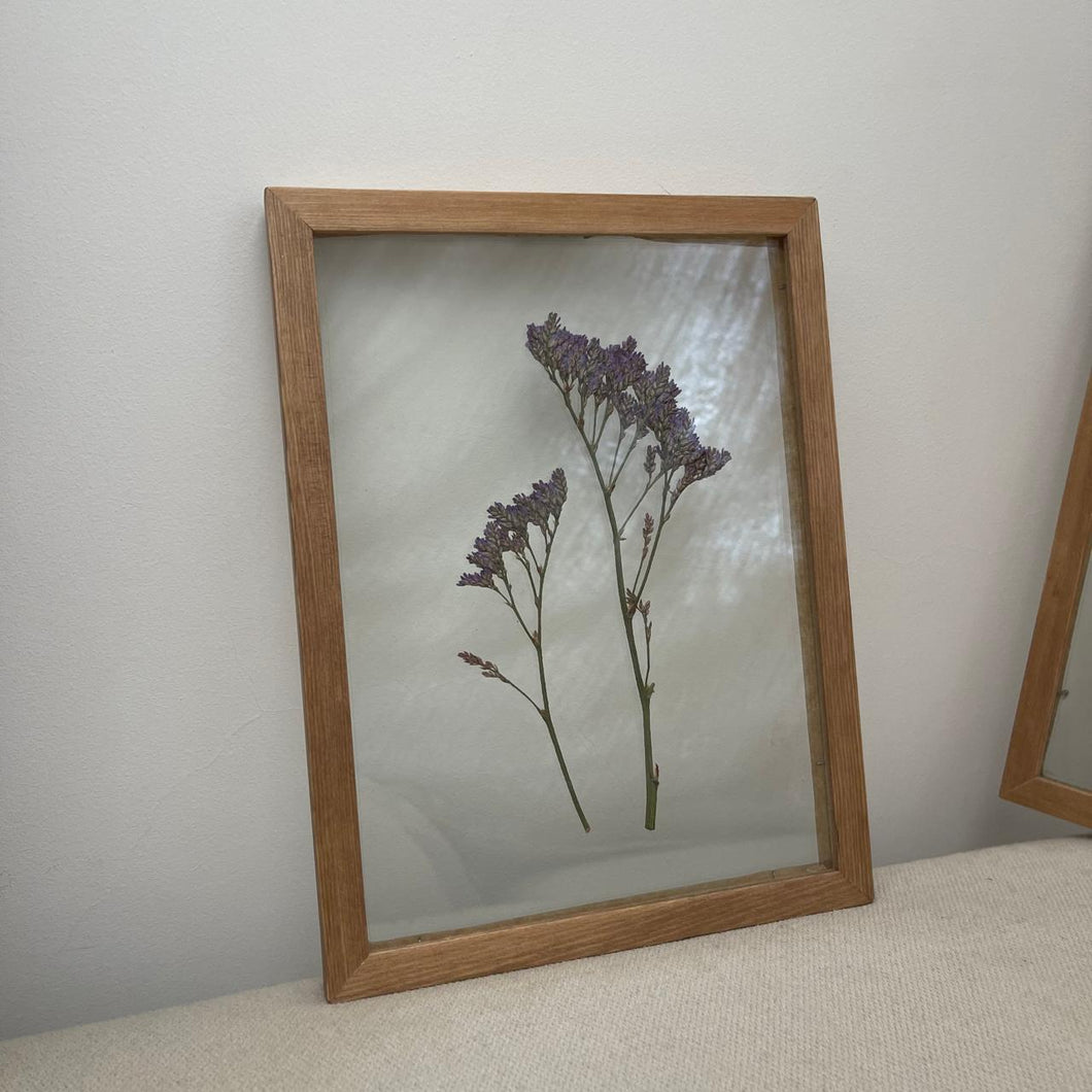Pressed Flowers Frame 06