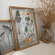Pressed Flowers Frame 02
