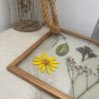Pressed Flowers Frame 05