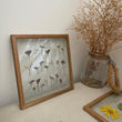 Pressed Flowers Frame 14