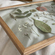 Pressed Flowers Frame 07