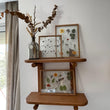 Pressed Flowers Frame 23
