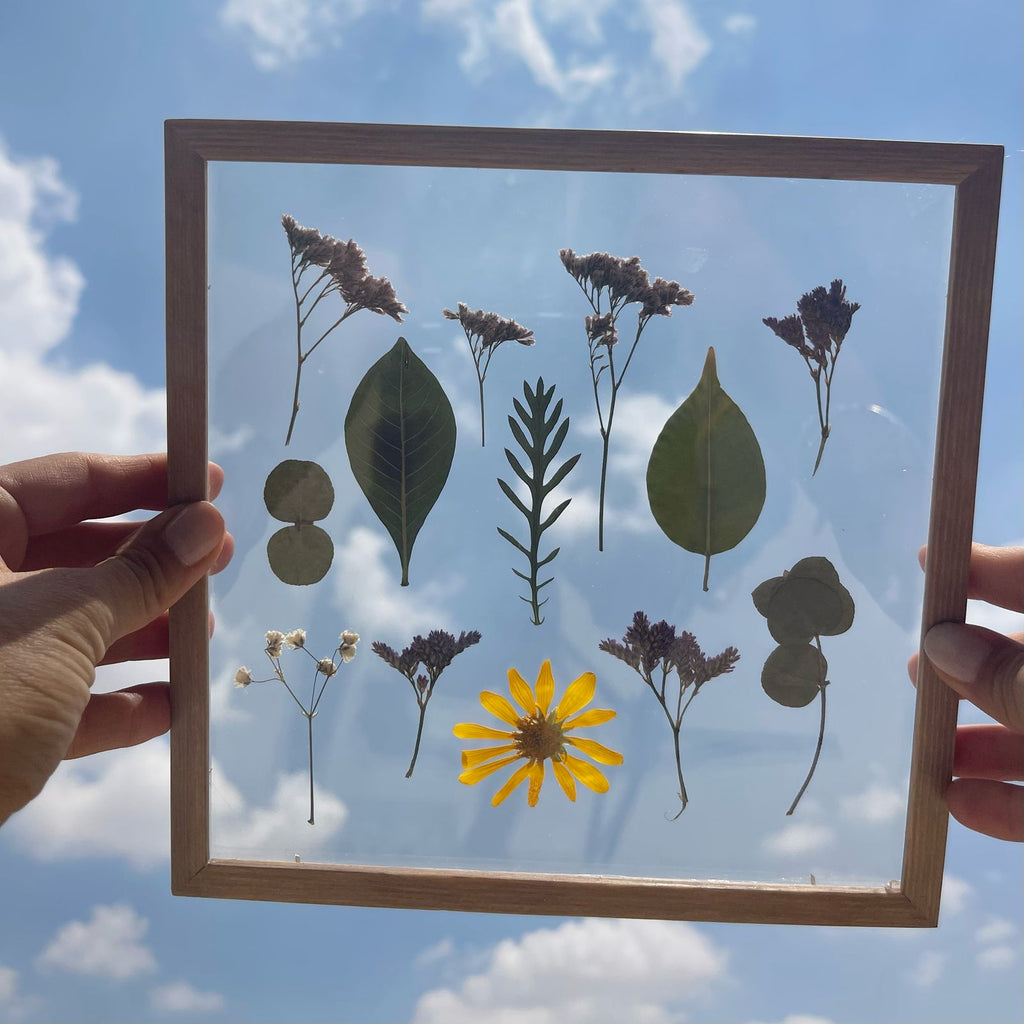 Pressed Flowers Frame 16