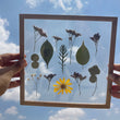 Pressed Flowers Frame 16