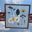 Pressed Flowers Frame 08