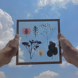 Pressed Flowers Frame 18