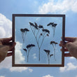 Pressed Flowers Frame 20