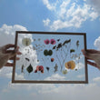 Pressed Flowers Frame 17