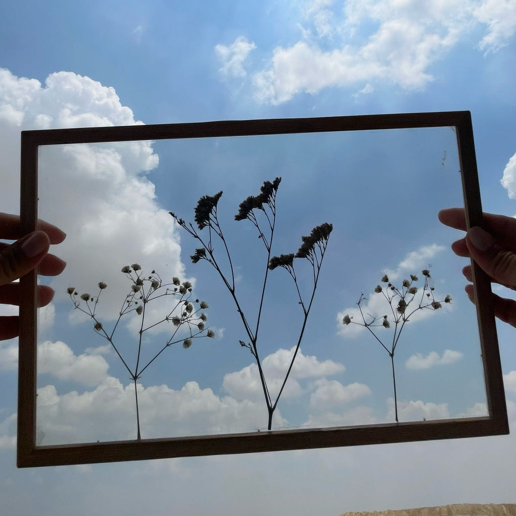 Pressed Flowers Frame 11