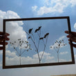 Pressed Flowers Frame 11