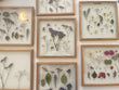 Pressed Flowers Frame 09