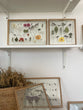 Pressed Flowers Frame 17