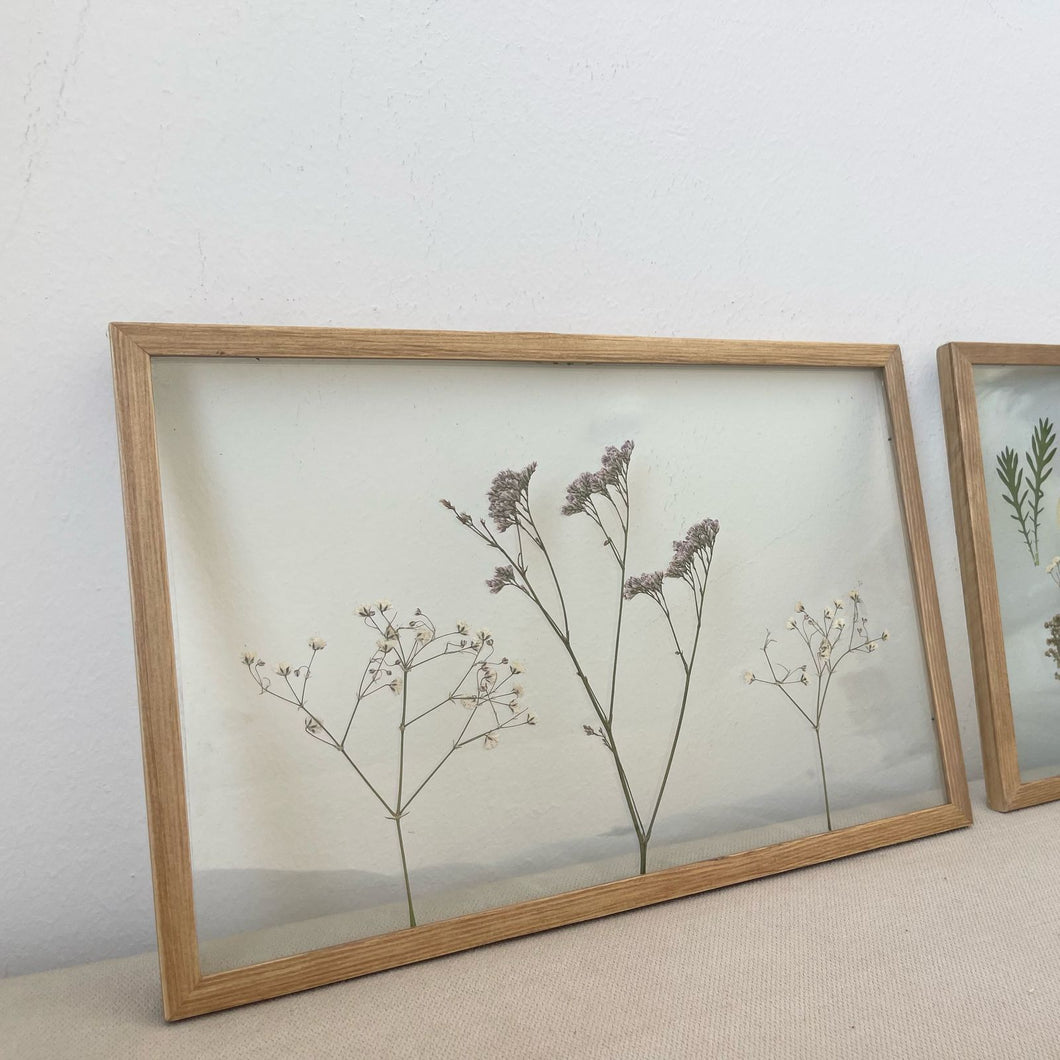 Pressed Flowers Frame 11