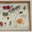 Pressed Flowers Frame 17