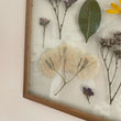 Pressed Flowers Frame 08