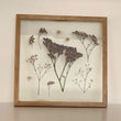 Pressed Flowers Frame 09