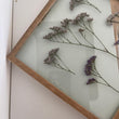 Pressed Flowers Frame 20