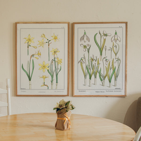 Vintage Botanicals Set 01