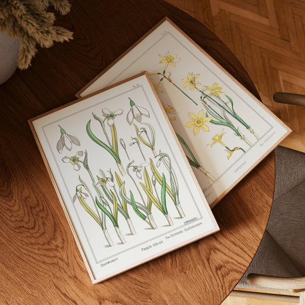 Vintage Botanicals Set 01