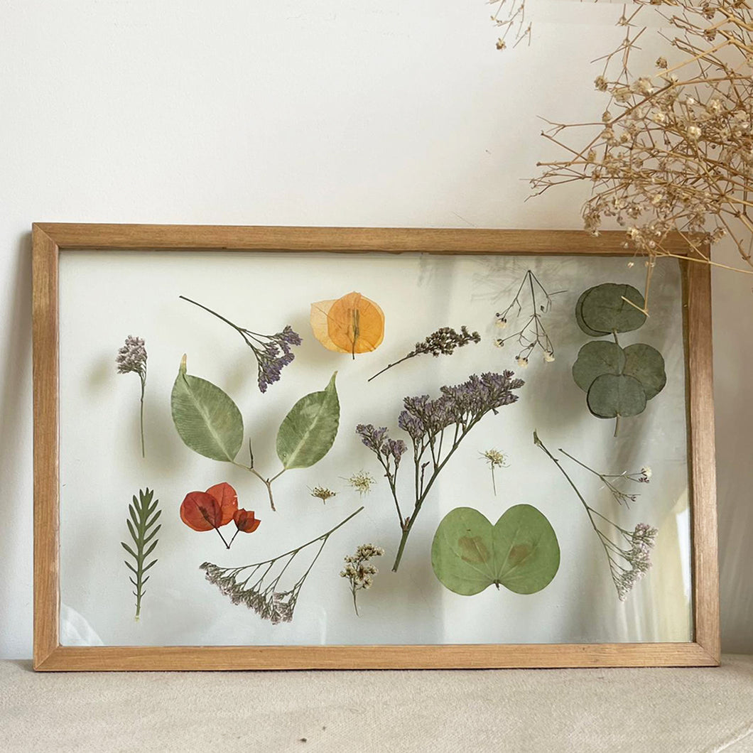 Pressed Flowers Frame 23