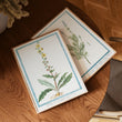 Vintage Botanicals Set 02