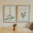 Vintage Botanicals Set 02