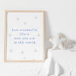 How Wonderful Life Is