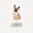 Custom Dog Print - Male