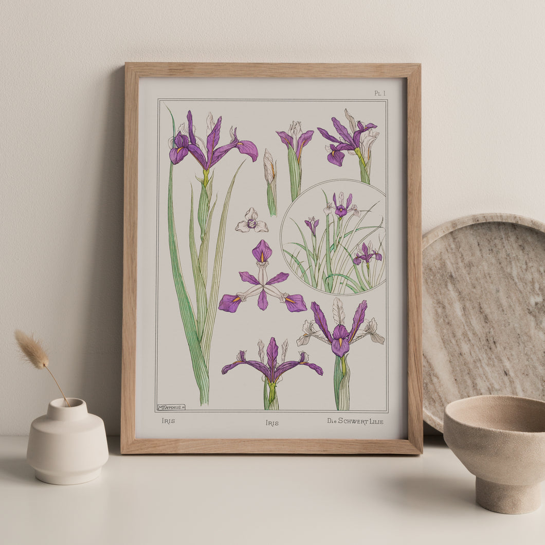 Vintage Botanicals - Iris