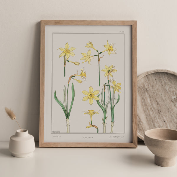 Vintage Botanicals - Jonquil