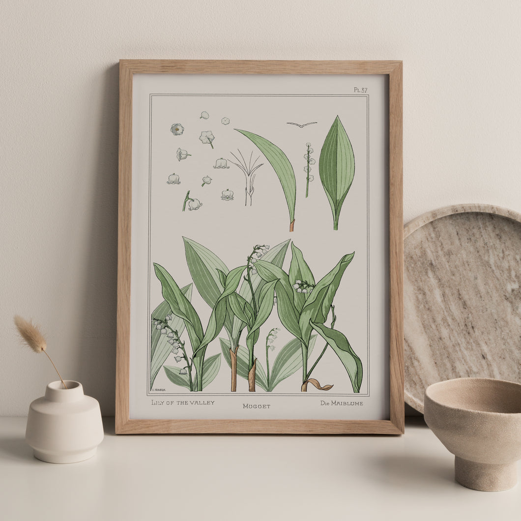 Vintage Botanicals - Lily of the Valley