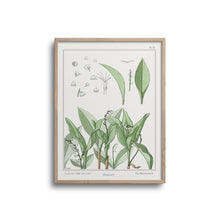 Load image into Gallery viewer, Vintage Botanicals - Lily of the Valley
