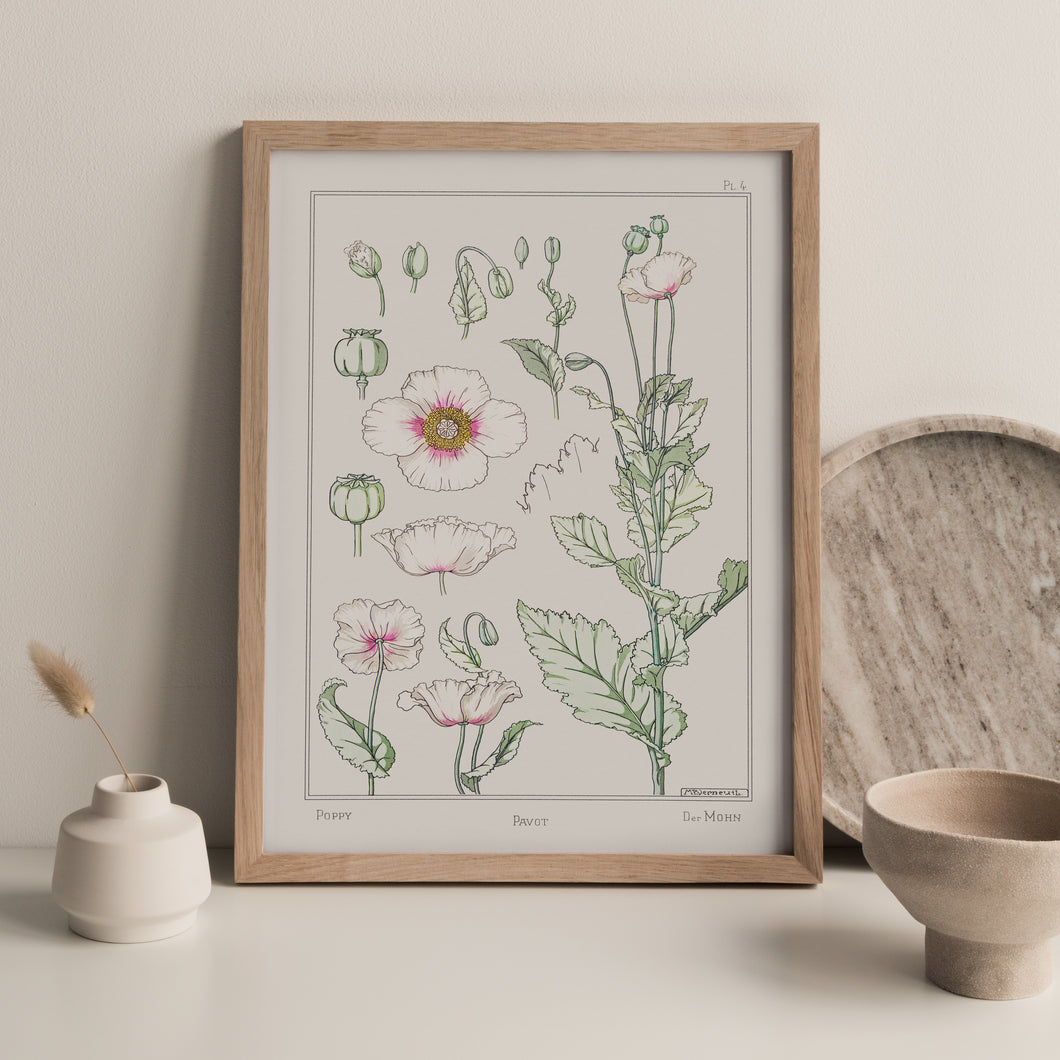 Vintage Botanicals - Poppy