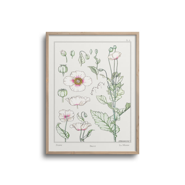 Vintage Botanicals - Poppy